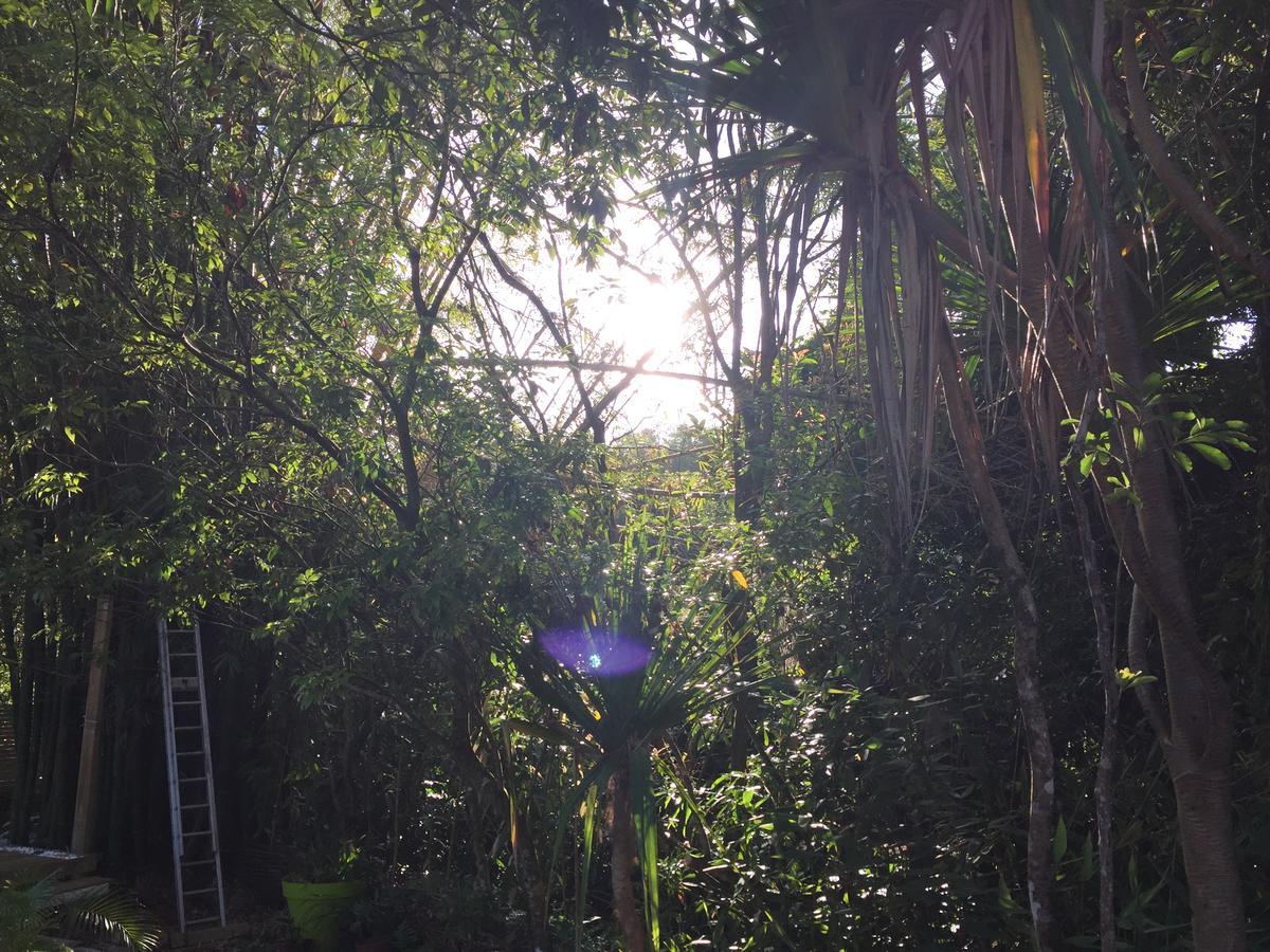Le Lambablanc Bed & Breakfast Bras-Panon Bagian luar foto