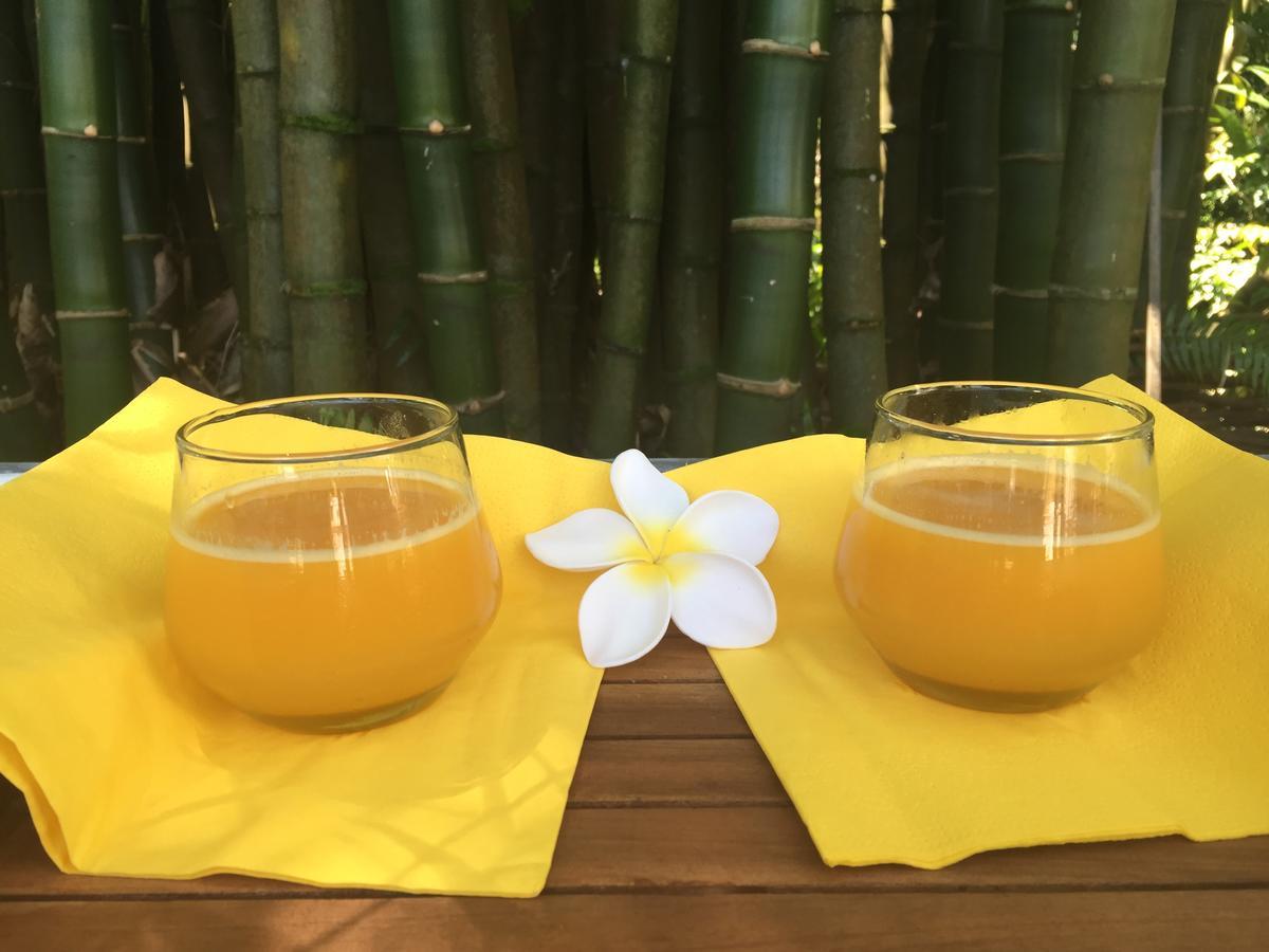 Le Lambablanc Bed & Breakfast Bras-Panon Bagian luar foto