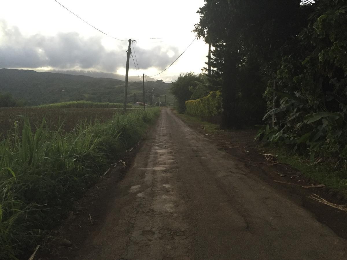 Le Lambablanc Bed & Breakfast Bras-Panon Bagian luar foto